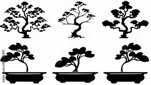 Silhouette of six bonsai trees in pots with varying shapes and foliage arrangements in black and white style
