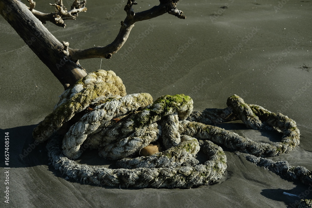 Fototapeta premium Thick Old Ship Rope Wrapped Around a Tree Trunk Buried in Beach Sand
