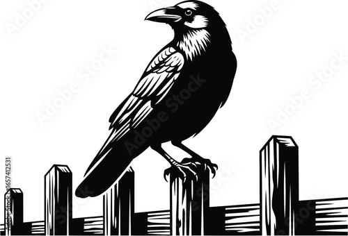 A black and illustration of a crow perched a wooden fence, showcasing its detailed feathers and sharp beak