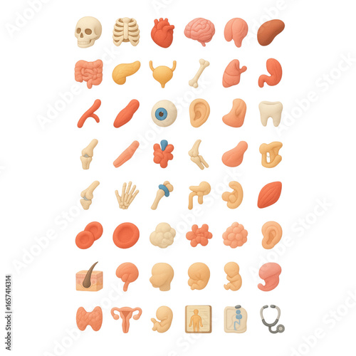 Collection of Human Anatomy and Medical Icons human body organs isolated on a transparent background
