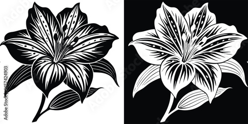 Bold black and white mature floral design, perfect for invitations, elegant branding, and stylish decoration elements