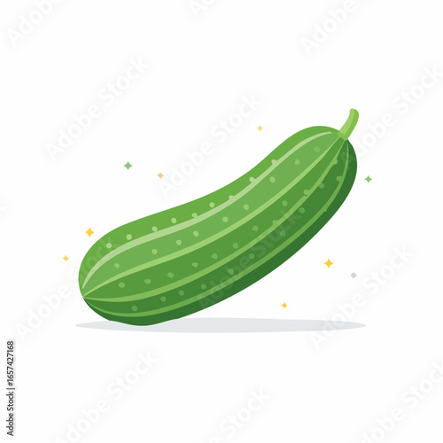 Fresh Green Cucumber Illustration