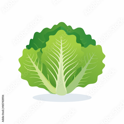 Minimal Lettuce Vector Design
