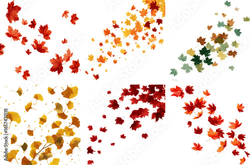 Set of autumn leaves with transparent background｜Maple, ginkgo, red, yellow, green, seasonal decoration, vector illustration