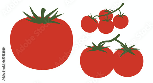 High-quality vector PNG illustrations of red tomatoes, perfect for culinary websites, food blogs, and restaurant menus.  These versatile images are ideal for adding a fresh, vibrant touch to your