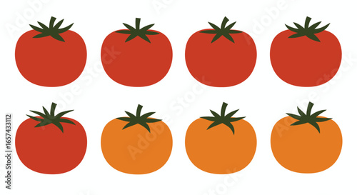 High-quality vector PNG illustrations of ripe red and orange tomatoes, perfect for food blogs, restaurant menus, and healthy eating campaigns.  These vibrant images are ideal for adding a fresh,