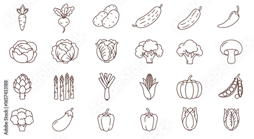 A vector illustration of various fresh vegetables, including carrots, potatoes, and broccoli, presented in a clean, minimalist line art style suitable for graphic design projects.