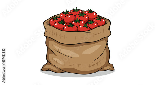 A burlap sack overflowing with ripe, red tomatoes, presented in a vibrant vector illustration against a clean white backdrop, perfect for culinary or agricultural projects.