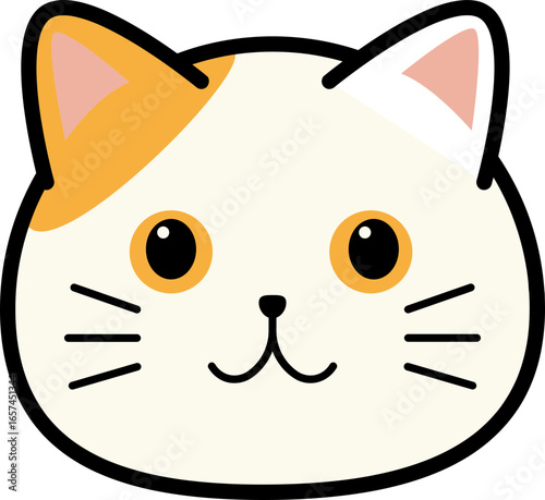 A cute cartoon illustration of a cat's head with white fur, orange patches, black eyes, and whiskers.