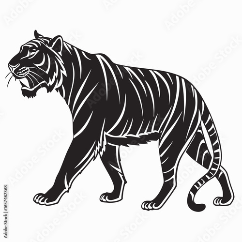 Photography tiger vector illustration