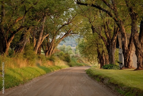 Fotografía Beautiful tree-lined stretch of Darling Hill Road in Burke, Vermont