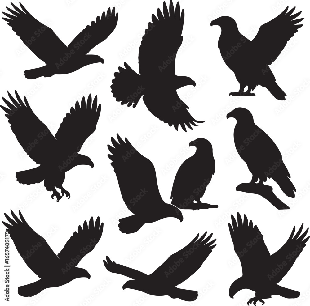 Obraz premium Black eagles flying perched silhouette