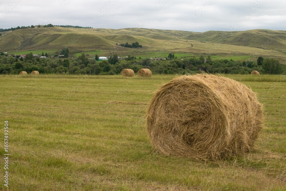 Rolls of hay lie on a mowed field, with a village and hills in the background Rolls of hay lie on a mowed field, with a village and hills in the background