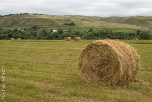 Rolls of hay lie on a mowed field, with a village and hills in the background
