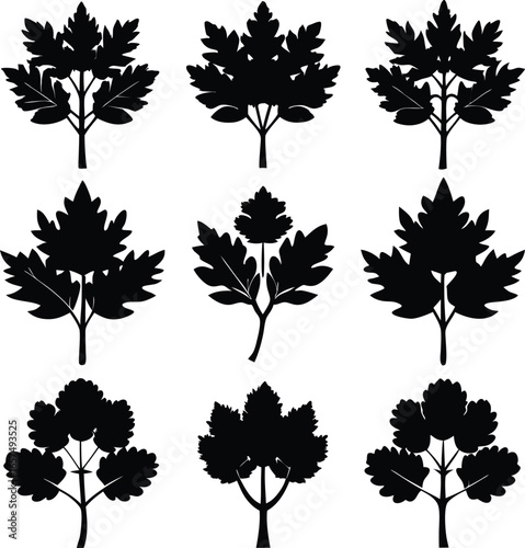 Nine Black Silhouettes of Parsley or Coriander Leafy Sprigs herb leaves
