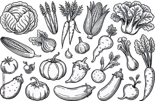  a collection of various vegetables rendered in a detailed black and white sketch 