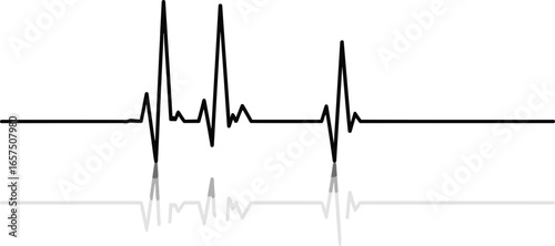 Black heartbeat line with reflection, electrocardiogram trace, medical health monitor, cardiac rhythm pattern, heart rate signal, vector illustration design
