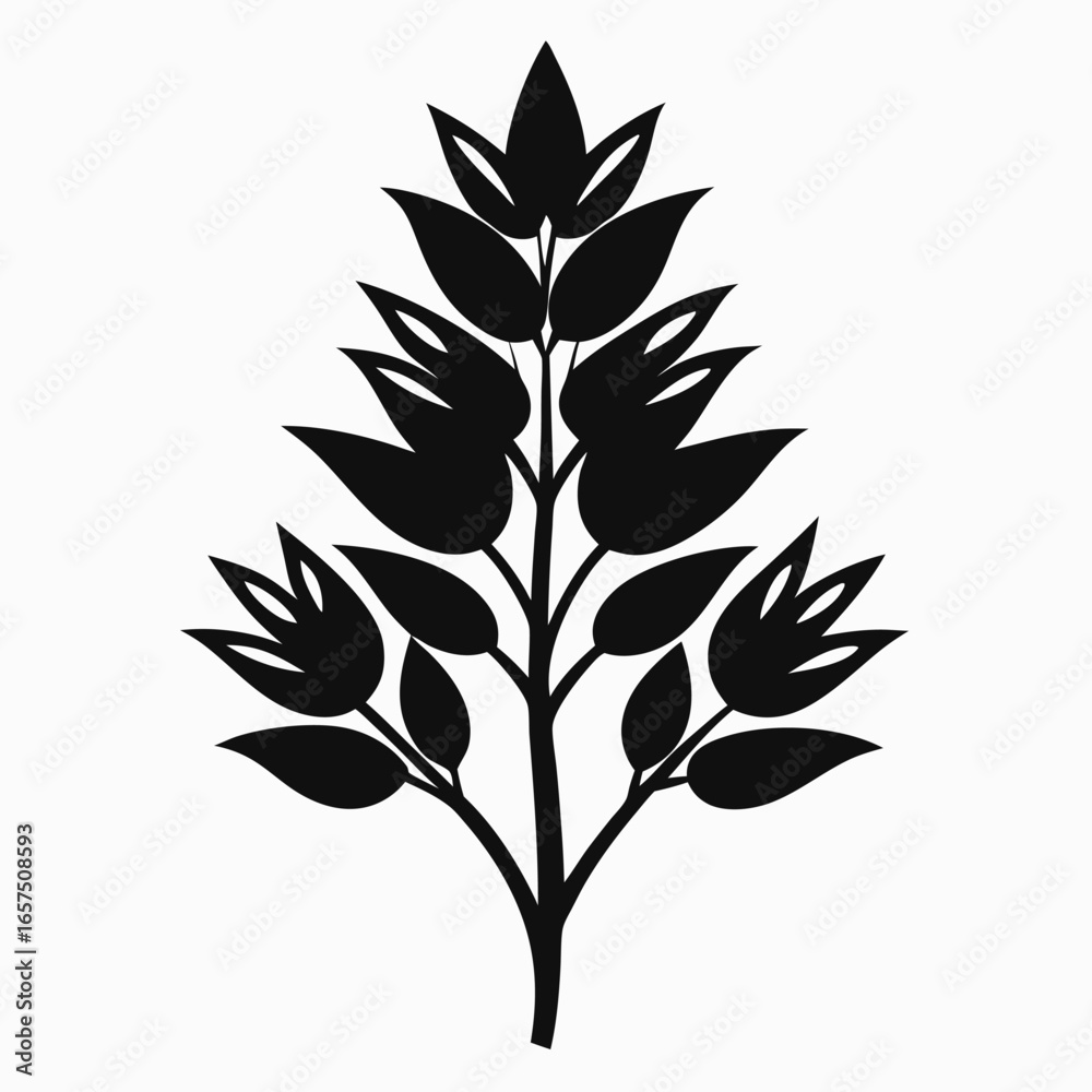 Fototapeta premium xylobium bractescens silhouette-on-white