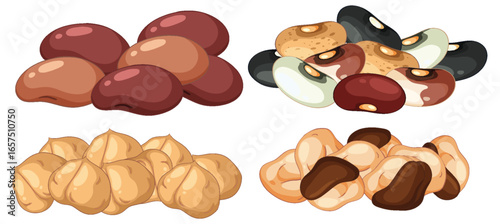 Assorted Beans and Chickpeas Vector Illustration