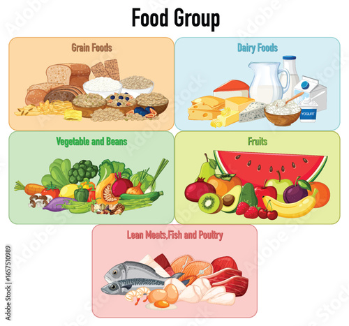 Colorful Vector Chart of Major Food Groups