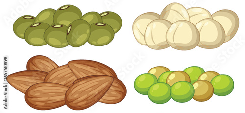 Assorted Nuts and Seeds Vector Illustration Collection