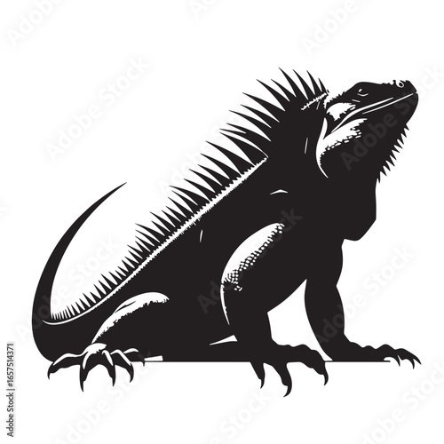 black Marine Iguana Silhouette Vector, High Quality Illustration on White Background