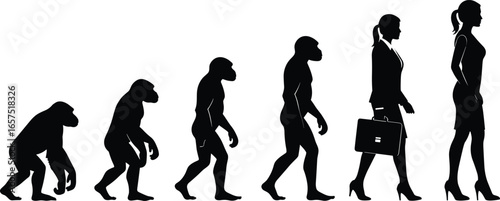 Silhouettes showing human evolution from primates to modern professionals with briefcase, business attire, societal progress concept, vector illustration design