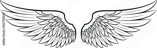 Symmetrical stylized wings with layered feathers, black and white vector illustration, elegant abstract design concept, artistic fantasy element, decorative graphic style, isolated