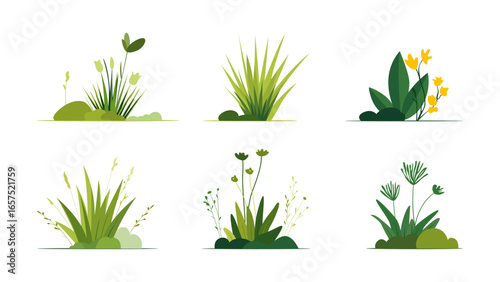 Set of grass for design. Set of flowering plants and grass for background and design. Set of secondary illustrations of grass and flowering plants.