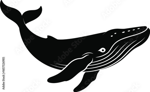 Black whale swimming in ocean humpback whale marine mammal