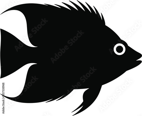 Black fish with spiky dorsal fin and white eye vector