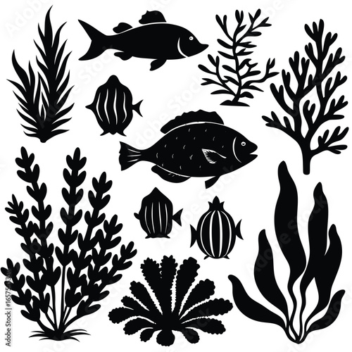 Silhouette Ocean Life: Fish, Coral, and Seaweed Illustrations