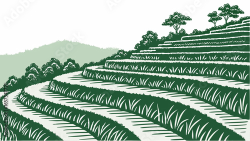 Illustration of a terraced field landscape with green hills and trees in a rural setting, showcasing agricultural cultivation