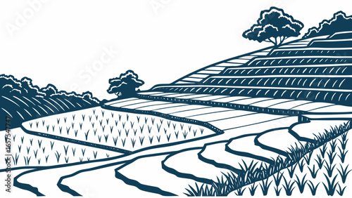 Illustration of rice terraces on a hillside, showcasing agricultural landscape and farming practices