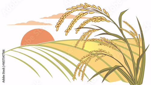 Illustration of rice plants with a sunset in the background
