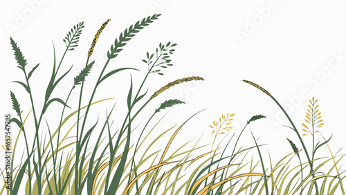 Illustration of various types of grass and grain, , perfect for adding a touch of nature to your designs