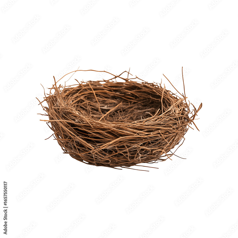 Naklejka premium A bird nest constructed with twigs and natural materials, showcasing intricate avian craftsmanship