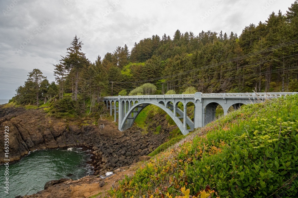 Fototapeta premium Rocky Creek Bridge and Lush Coastline