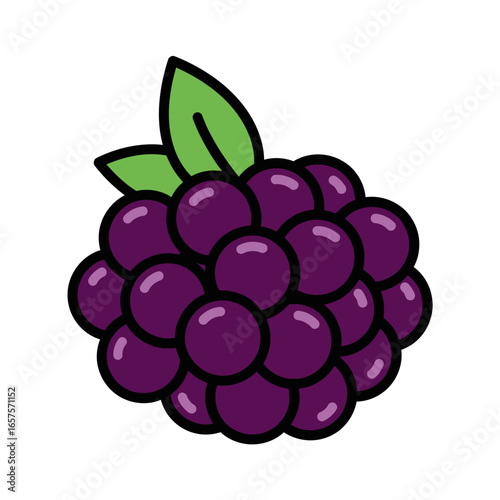 Simple blackberry icon in a doodle style. A fresh purple fruit vector illustration, part of a healthy food graphic collection. Sweet berry from nature.
