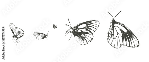 Butterfly photocopy retro effect set. Insects y2k grain elements. Stippling collage shapes isolated on transparent background. Vector magazine noisy illustration.