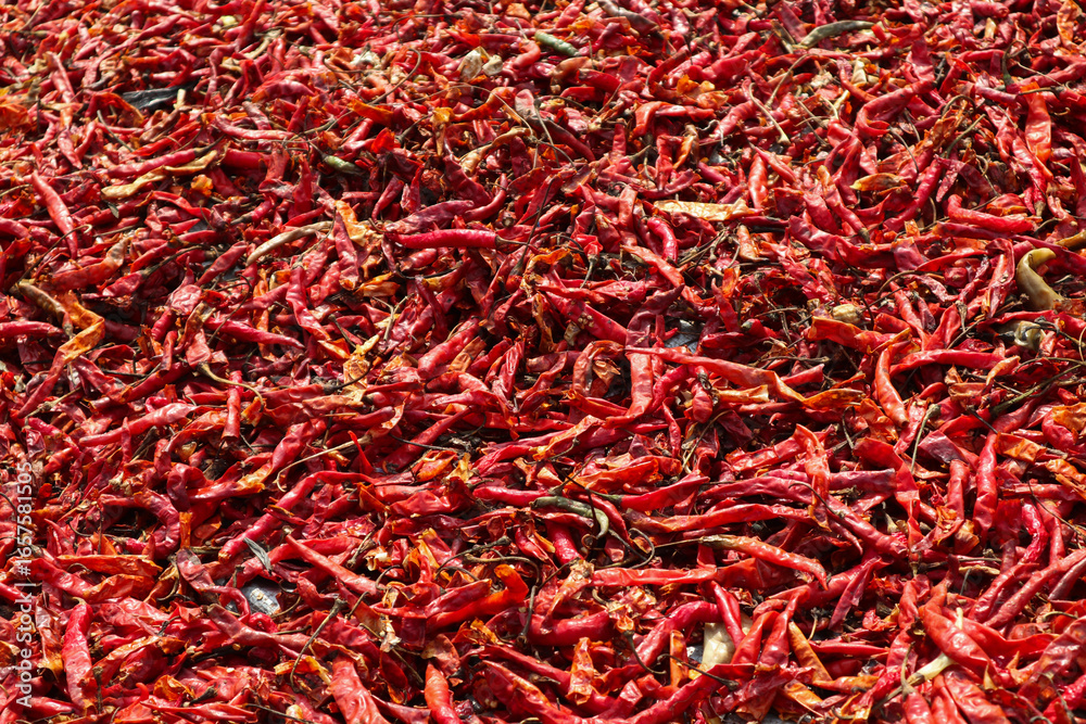 Fototapeta premium Bright Red Dried Chili Peppers
