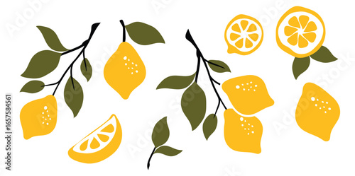 Set of orange fruits  with flowers and leaves. Hand drawn botanical design elements, icons, shapes. illustrations isolated on white background.