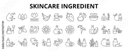30 Skincare Ingredient Line Icons Vector -  Niacinamide, Collagen, Ginseng, Rosemary Oil, Centella Asiatica, Hyaluronic Acid