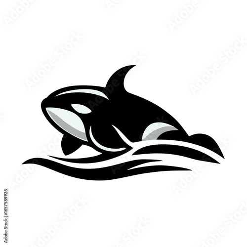 Orca Killer Whale Illustration Logo Concept