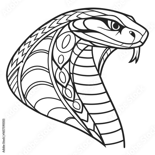 vector illustration of a cartoon snake