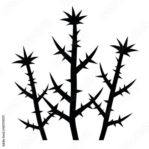 A bundle of 3 thorn bush silhouette on white background.eps