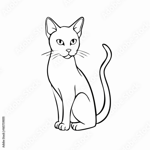 A serene black and white line art illustration capturing the elegance of a domestic cat in a calm, seated pose, ideal for minimalist designs or creative coloring.