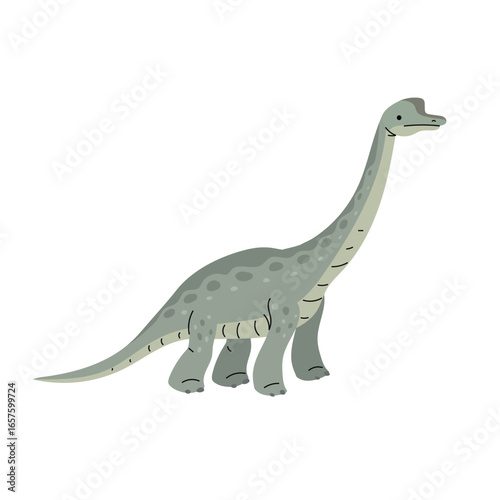 Cartoon brachiosaurus dinosaur. Diplodocus. One of the highest dino in modern style. Prehistoric Jurassic period character. Vector illustration isolated on white.