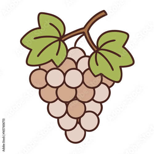 Simple drawing of a grape vine and a cluster of light purple grapes, nature illustration