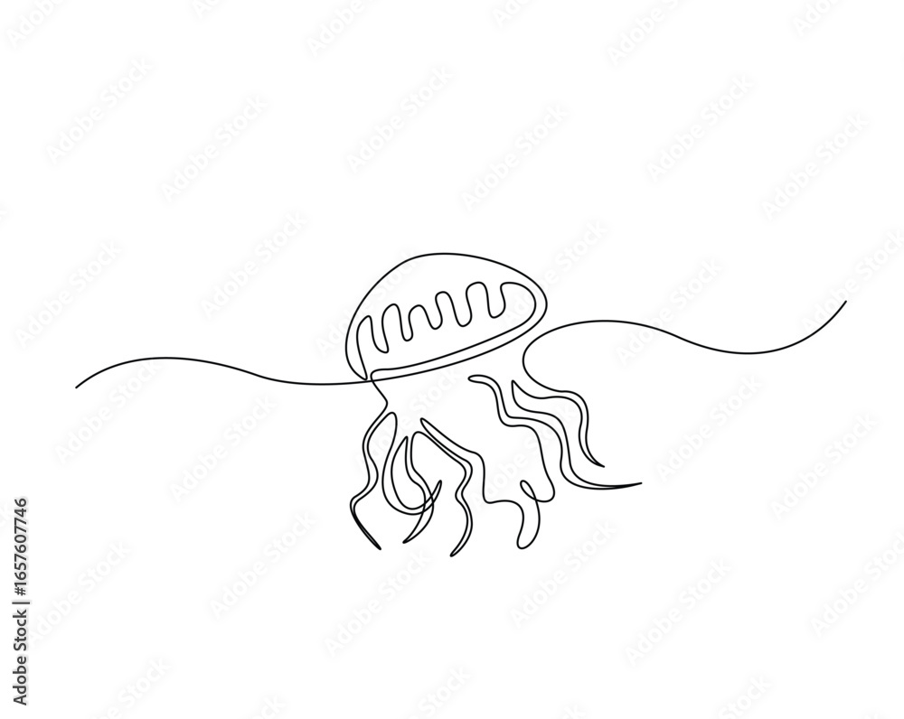 Obraz premium Jellyfish outline drawing illustration. one continuous line drawing of jellyfish in the sea.